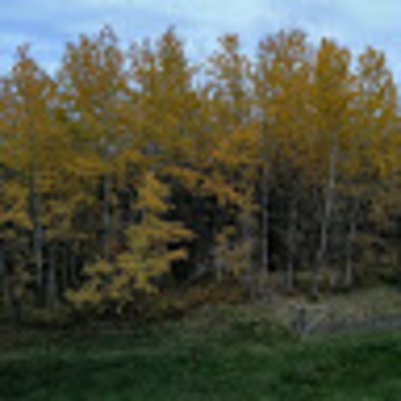 Meet your Posher, Mark - Picture 1 of 1